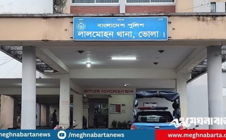 বসতঘরে ঢুকে নারীকে কুপিয়ে হত্যা, দুইজন অচেতন অবস্থায় উদ্ধার