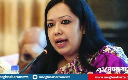 কাগজ কলমে কোনো রাজনৈতিক দলকে নিষিদ্ধ করা যায় না : রুমিন ফারহানা