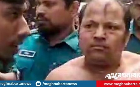 হত্যা মামলায় অভিনেতা সিদ্দিকুরকে ১০ দিন রিমান্ডে নিতে চায় পুলিশ