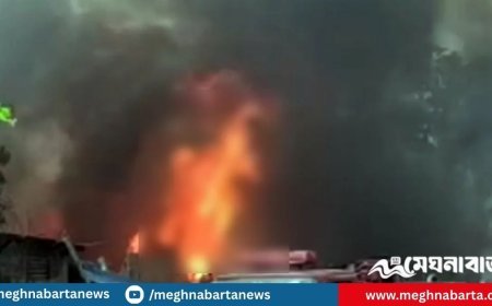 নারায়ণগঞ্জে তুলার গুদামে আগুন