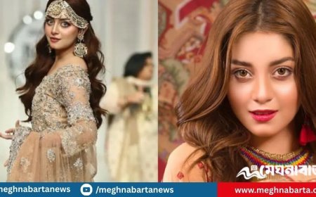 হেনস্তার শিকার, অভিনয় ছাড়ার ঘোষণা দিলেন আলিজাহ