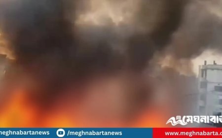 গাজীপুরে কাঁচাবাজারে ভয়াবহ আগুন