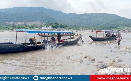 আইন আছে সাজা নেই, পেট বাড়ছে পাথরখেকোদের