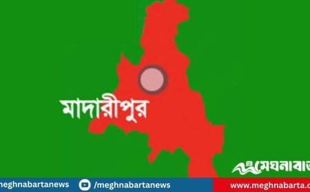 দরজা খুলতেই সন্তানের সামনে মাকে কুপিয়ে হত্যা