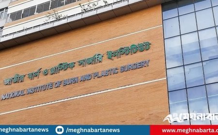 গ্যাসের চুলা জ্বালাতেই বিস্ফোরণ, একই পরিবারে শিশুসহ দগ্ধ ৫