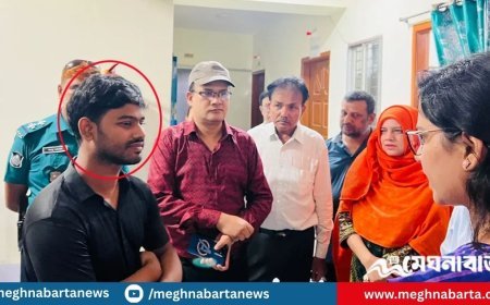 সিজার করছিলেন ‘অষ্টম শ্রেণি পাস’ যুবক, হাতেনাতে ধরা