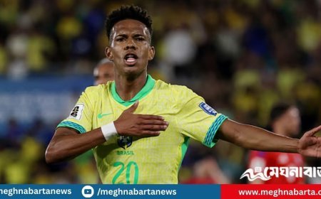 নেইমার-ভিনিদের অভাব বুঝতে দেননি মেসিনিওরা, গোল উৎসব ব্রাজিলের