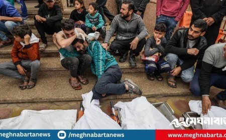 ইসরায়েলি হামলায় আরো ৭৫ ফিলিস্তিনি নিহত