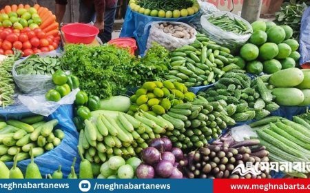 বরবটি-করলার সেঞ্চুরি, কাঁচা মরিচের ডাবল সেঞ্চুরি