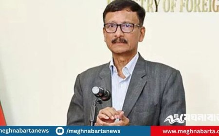 তারেক রহমানের ট্রাভেল ডকুমেন্ট নিয়ে সমস্যা থাকলে সমাধান করবো: পররাষ্ট্র উপদেষ্টা