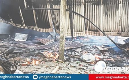 রাজবাড়ীতে নুরাল পাগলার লাশ কবর থেকে তুলে পোড়াল তৌহিদী জনতা