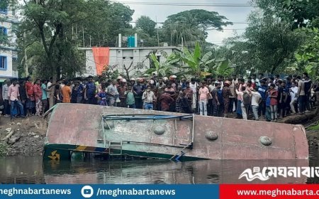 যাত্রীবাহী বাস উল্টে খালে, নিহত ২