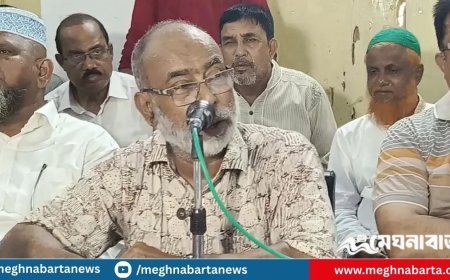 ক্লিন ইমেজ আওয়ামীলীগ নেতাদের মনোনয়ন দেবে জাতীয় পার্টি : মোস্তাফিজার রহমান