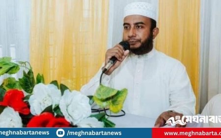 বসতঘরে ঢুকে খতিব ও মাদ্রাসা শিক্ষককে হত্যার অভিযোগ