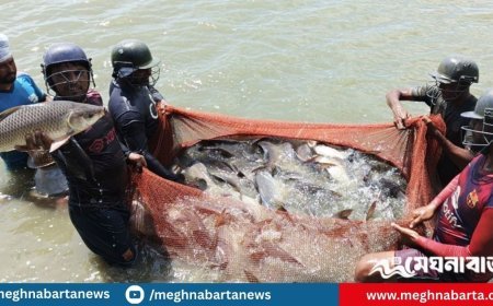 যে খামারে হেলমেট পরে মাছ ধরেন জেলেরা