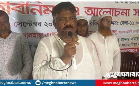 শেখ হাসিনা ও আওয়ামী লীগ ফেরাউন নমরুদের চাইতে খারাপ: দুলু