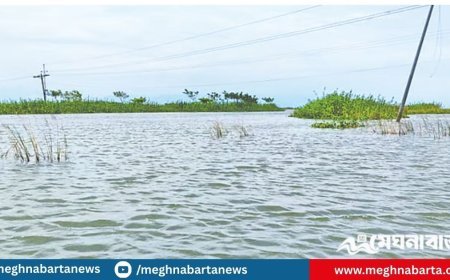 এবার হাওরে বিশ্ববিদ্যালয়