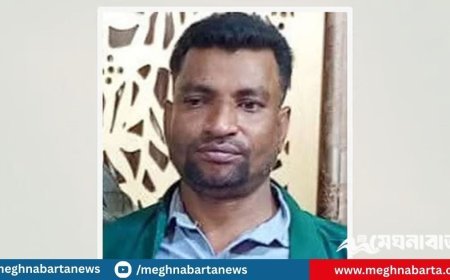 অটোরিকশা ছিনতাইয়ের পর খণ্ড খণ্ড করে বিক্রি করতেন তাঁতী দলের নেতা