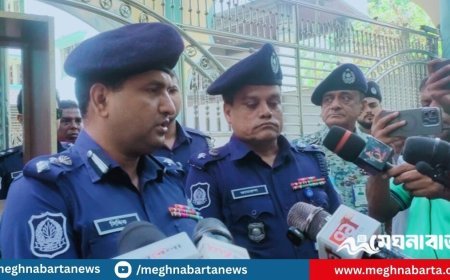 ‘নুরাল পাগলার ঘটনায় কোনো গণগ্রেপ্তার হবে না’