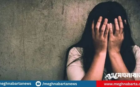 সাত মেয়ের মাকে ধর্ষণ, বিয়ে করতে বলায় মারধর