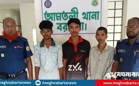 সাবেক স্বামীকে মারতে কিশোর গ্যাং ভাড়া করলেন স্ত্রী
