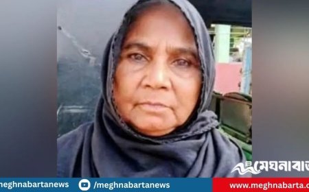 বৃদ্ধা মাকে পিটিয়ে মারলেন মেয়ে-জামাই, পালালেন রাস্তার রেখে