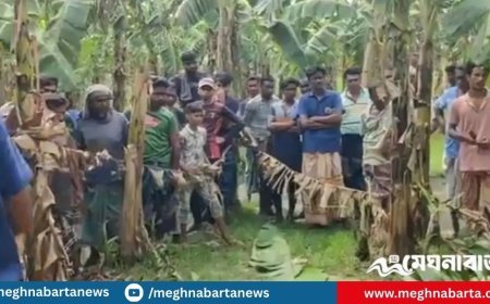 কলাবাগানে পড়ে ছিল লুঙ্গি পেঁচানো যুবকের মরদেহ