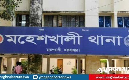 পুলিশের টহলগাড়িতে দুর্বৃত্তদের গুলি, এএসআইসহ আহত ৩