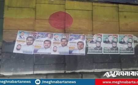 জুলাই গ্রাফিতির ওপর বিএনপি নেতার পোস্টার, শিক্ষার্থীদের ক্ষোভ