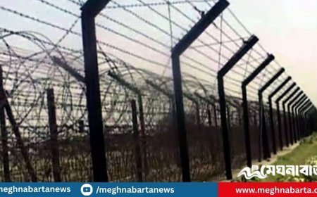 সাতক্ষীরার সীমান্ত দিয়ে ১০ বাংলাদেশি হস্তান্তর