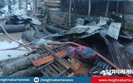 বজ্রপাতে শর্ট সার্কিট, আগুনে পুড়ে ছাই তুলা কারখানা