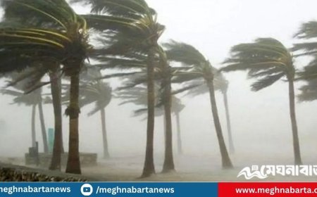 দুপুরের মধ্যে ১৪ জেলায় ৬০ কিমি বেগে ঝড়ের শঙ্কা