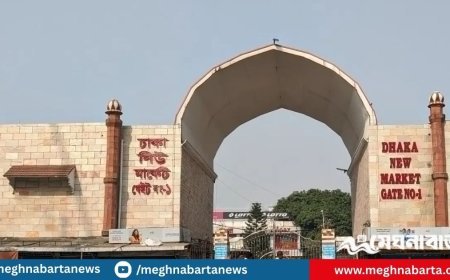 নিউমার্কেট এলাকায় চাঁদাবাজির সময় আটক তিন
