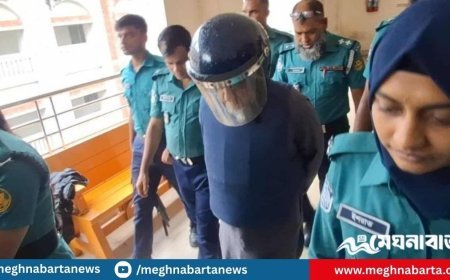 দুর্নীতির মামলায় স্ত্রীসহ ছাগলকাণ্ডের মতিউর রিমান্ডে