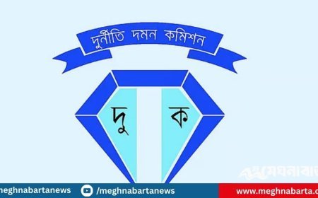 মালয়েশিয়া শ্রমিক পাঠাতে ৫ গুণ বেশি টাকা নেওয়ার অভিযোগ, ১৩ কোম্পানির বিরুদ্ধে মামলা