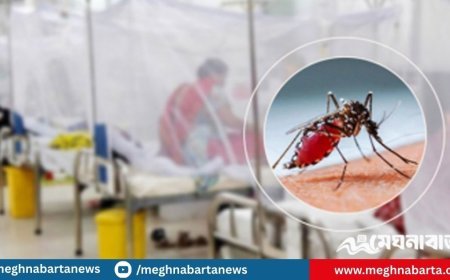 ডেঙ্গুতে আরও ৩ জনের মৃত্যু, ৬৮৫ জন হাসপাতালে