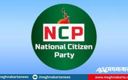 কোনো জোট বা যুগপৎ আন্দোলনে যাবে না এনসিপি : জাবেদ রাসিন