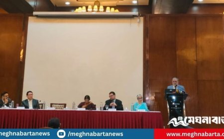 তাপমাত্রা বৃদ্ধিতে বিশ্বে দ্বিতীয় বাংলাদেশ, স্বাস্থ্য-অর্থনীতিতে ভয়াবহ প্রভাব