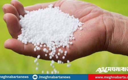 সার আমদানির চুক্তি অনুমোদনে সরকারের সুপারিশ