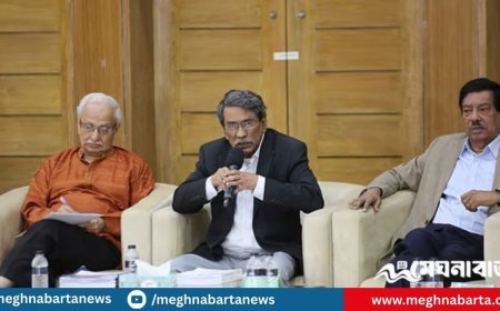 বর্ধিত মেয়াদের আগেই জুলাই সনদ বাস্তবায়নের পদ্ধতি চূড়ান্ত করতে চায় কমিশন: আলী রীয়াজ