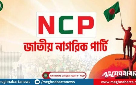 গণপরিষদ নির্বাচন নিয়ে যত মাথাব্যথা এনসিপির, প্রয়োজনে আন্দোলন