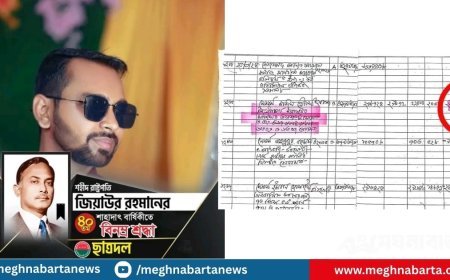 অন্যের ঠিকাদারী বিল উঠানোর অভিযোগ ববি ছাত্রদলের সাবেক সভাপতি রেজা শরীফের বিরুদ্ধে