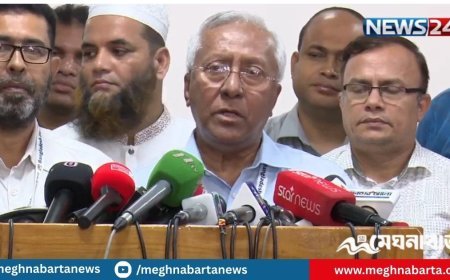 প্রবাসীরা কীভাবে ভোট দেবেন, জানালেন ইসি সচিব