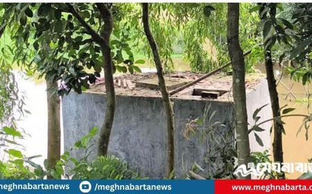 কুমিল্লায় ৩৫ দিন ধরে নিখোঁজ ব্যক্তির গলিত লাশ পাওয়া গেল সেপটিক ট্যাংকে