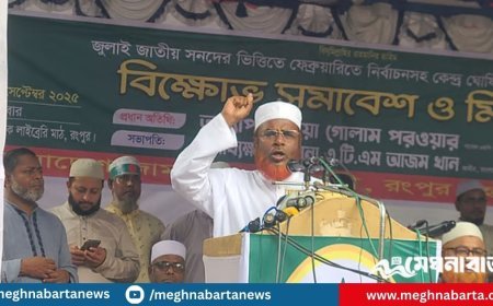 যারা মনোনয়ন–বাণিজ্য করতে পারবে না, তারাই পিআর ঠেকাতে চায়: গোলাম পরওয়ার