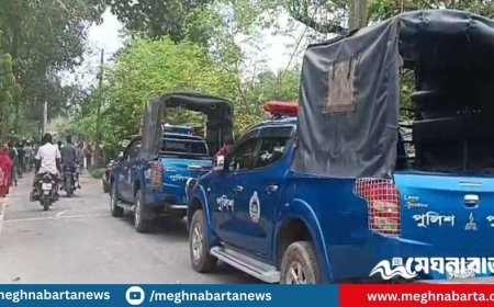 চুয়াডাঙ্গায় দুই ভাইকে কুপিয়ে মারল প্রতিপক্ষ