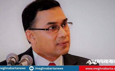 দলের নাম ভাঙিয়ে ব্যক্তিস্বার্থ হাসিল করা যাবে না : তারেক রহমান