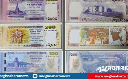 অর্থনীতির তিন স্তম্ভেই ভাঙন: ব্যাংক থেকে শেয়ারবাজার সর্বত্র বিপর্যয়