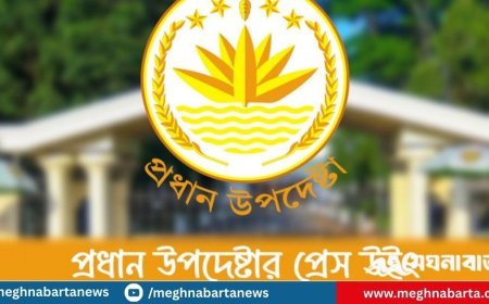 বাংলাদেশের ওপর আমিরাতের ভিসা নিষেধাজ্ঞার খবরটি ভুয়া : প্রেস উইং