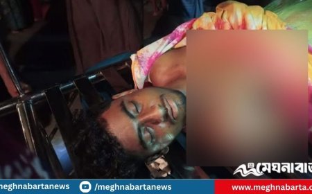 গাইবান্ধায় বিদ্যুৎস্পৃষ্টে জুলাই যোদ্ধার মৃত্যু